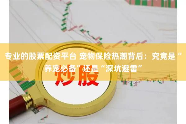 专业的股票配资平台 宠物保险热潮背后：究竟是“养宠必备”还是“深坑避雷”