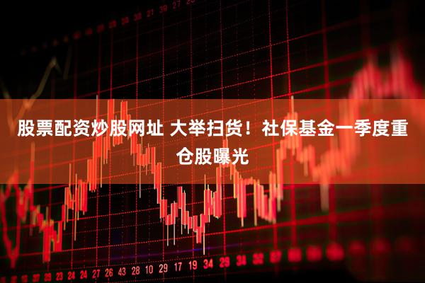股票配资炒股网址 大举扫货！社保基金一季度重仓股曝光