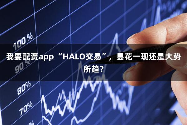我要配资app “HALO交易”，昙花一现还是大势所趋？
